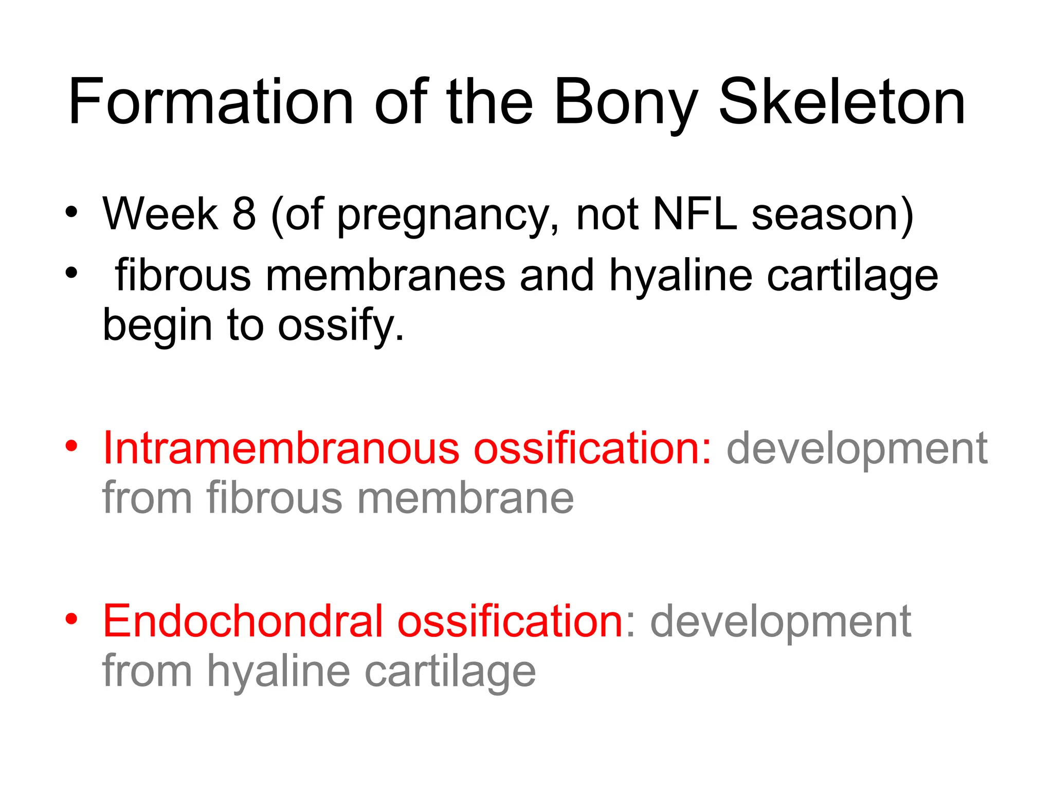bone development and bone growth .ppt
