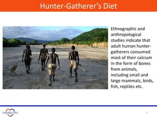 6
Ancestors
Ethnographic and
anthropological
studies indicate that
adult human hunter-
gatherers consumed
most of their calcium
in the form of bones
from animals,
including small and
large mammals, birds,
fish, reptiles etc.
Hunter-Gatherer’s Diet
 