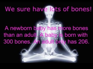 We sure have lots of bones!
We sure have lots of bones!
A newborn baby has more bones
than an adult. A baby is born with
300 bones. An adult only has 206.
 
