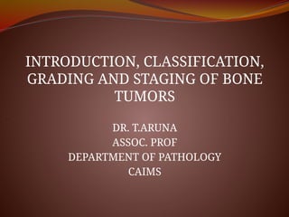 Comprehensive Overview of Bone Tumors: Classification, Grading, and ...