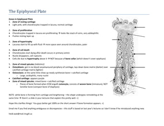 The Epiphyseal Plate
Zones in Epiphyseal Plate
1. Zone of resting cartilage
 Light pink, with chondrocytes trapped in lacuna, normal cartilage

2. Zone of proliferation
 Chondrocytes trapped in lacuna are proliferating  looks like stack of coins, very adidophillic
 Pushes resting layer up

3. Zone of hypertrophy
 Lacunas start to fill up with fluid  more space seen around chondrocytes, paler

4.   Zone of cell death
    Chondrocytes start dying after death occurs in primary centre
    Nuclei disappears, cell ruptures
    Cells die due to hypertrophy above it  NOT because of bone collar (which doesn’t cover epiphysis)

5. Zone of mixed spicules (indistinct)
 Osteoblasts: got in via blood vesselsaround periphery of cartilage, lays down bone matrix (darker) over
   calcified cartilage matrix (lighter)
 Osteoclasts: at the same time chew up newly synthesize bone + calcified cartilage
       o Large, acidophilic, many nuclei
 Calcified cartilage: appears purple
 Zone of mixed spicules: mixed bone + calcified cartilage
       o Pieces of bone formed when ECM engulfs osteocyte, consists of woven bone (immature), NOT
            lamellar bone (compact bone of diaphysis)


NOTE: while bone is forming from cartilage and lengthening – the shape undergoes remodeling at the
same time  there’s a slide in your lectures that explain this pretty well. =)

Hope this clarifies things! You guys better get 100% on the short answer if bone formation appears. =)

Email me if you find anything ambiguous or discrepancies – this stuff is based on last year’s lectures so I don’t know if he introduced anything new.

heidi.wat@mail.mcgill.ca
 