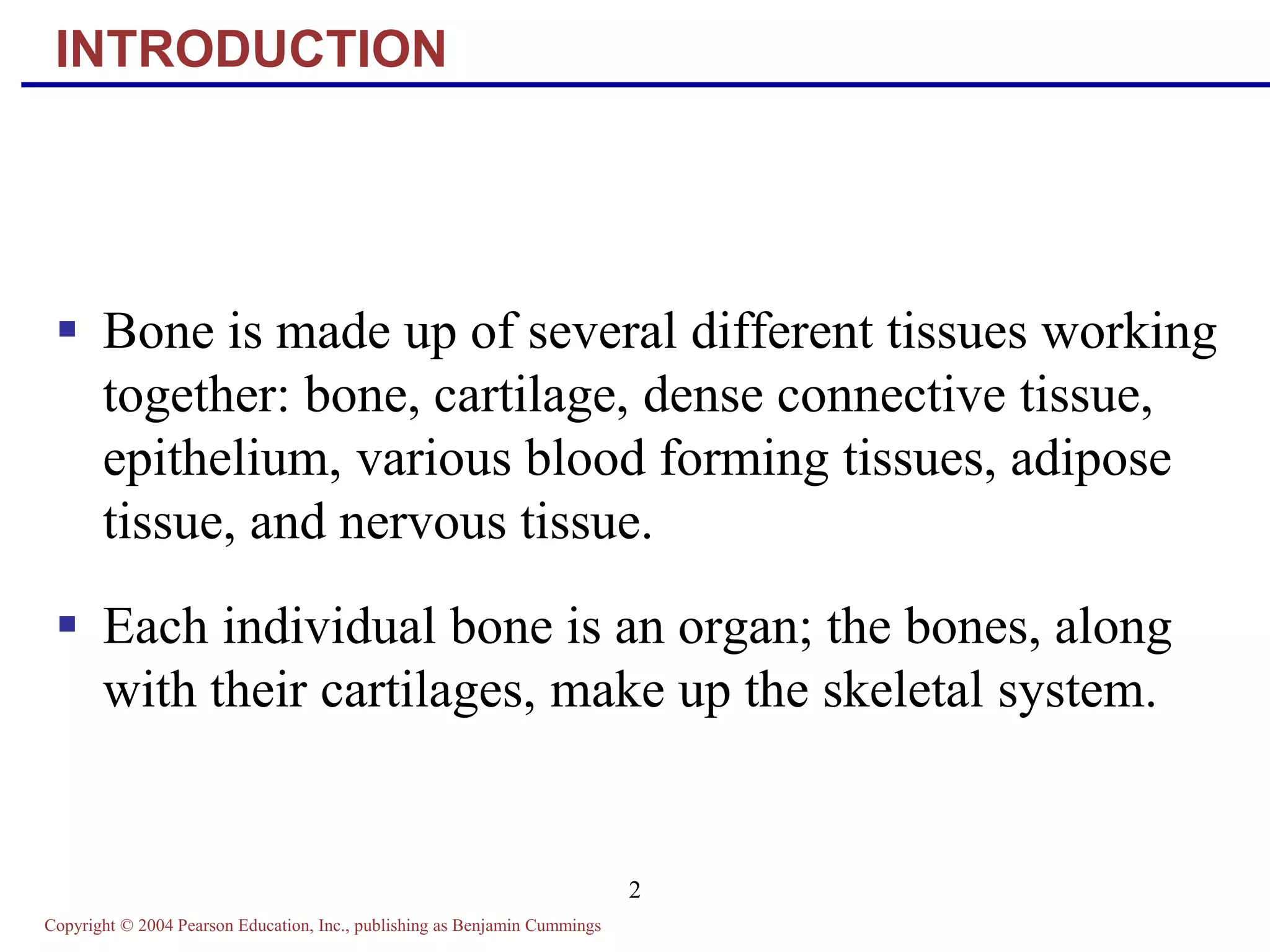 Copyright © 2004 Pearson Education, Inc., publishing as Benjamin Cummings
2
INTRODUCTION
 Bone is made up of several different tissues working
together: bone, cartilage, dense connective tissue,
epithelium, various blood forming tissues, adipose
tissue, and nervous tissue.
 Each individual bone is an organ; the bones, along
with their cartilages, make up the skeletal system.
 