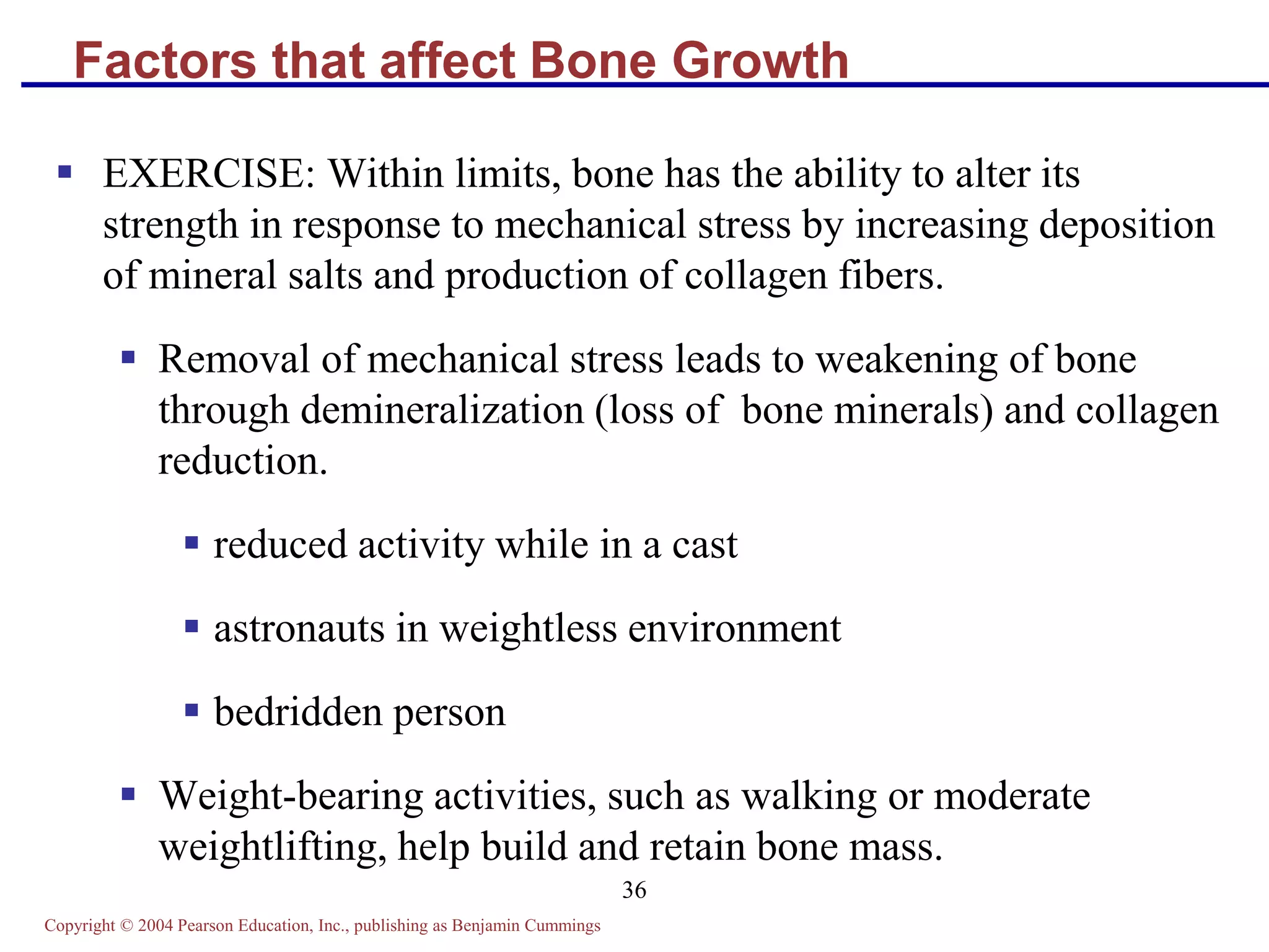 Copyright © 2004 Pearson Education, Inc., publishing as Benjamin Cummings
36
Factors that affect Bone Growth
 EXERCISE: Within limits, bone has the ability to alter its
strength in response to mechanical stress by increasing deposition
of mineral salts and production of collagen fibers.
 Removal of mechanical stress leads to weakening of bone
through demineralization (loss of bone minerals) and collagen
reduction.
 reduced activity while in a cast
 astronauts in weightless environment
 bedridden person
 Weight-bearing activities, such as walking or moderate
weightlifting, help build and retain bone mass.
 