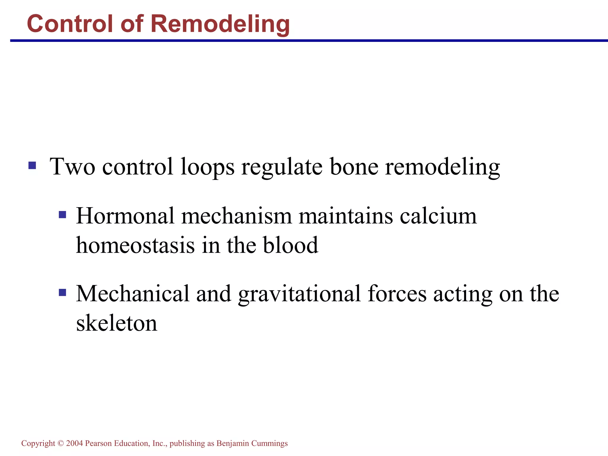 Copyright © 2004 Pearson Education, Inc., publishing as Benjamin Cummings
Control of Remodeling
 Two control loops regulate bone remodeling
 Hormonal mechanism maintains calcium
homeostasis in the blood
 Mechanical and gravitational forces acting on the
skeleton
 