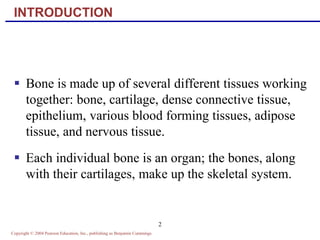 Copyright © 2004 Pearson Education, Inc., publishing as Benjamin Cummings
2
INTRODUCTION
 Bone is made up of several different tissues working
together: bone, cartilage, dense connective tissue,
epithelium, various blood forming tissues, adipose
tissue, and nervous tissue.
 Each individual bone is an organ; the bones, along
with their cartilages, make up the skeletal system.
 
