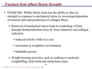 Copyright © 2004 Pearson Education, Inc., publishing as Benjamin Cummings
36
Factors that affect Bone Growth
 EXERCISE: Within limits, bone has the ability to alter its
strength in response to mechanical stress by increasing deposition
of mineral salts and production of collagen fibers.
 Removal of mechanical stress leads to weakening of bone
through demineralization (loss of bone minerals) and collagen
reduction.
 reduced activity while in a cast
 astronauts in weightless environment
 bedridden person
 Weight-bearing activities, such as walking or moderate
weightlifting, help build and retain bone mass.
 