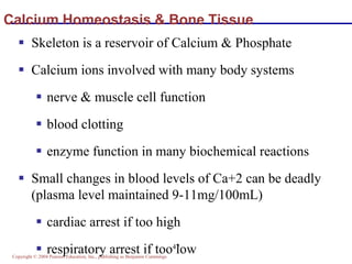 Copyright © 2004 Pearson Education, Inc., publishing as Benjamin Cummings
47
Calcium Homeostasis & Bone Tissue
 Skeleton is a reservoir of Calcium & Phosphate
 Calcium ions involved with many body systems
 nerve & muscle cell function
 blood clotting
 enzyme function in many biochemical reactions
 Small changes in blood levels of Ca+2 can be deadly
(plasma level maintained 9-11mg/100mL)
 cardiac arrest if too high
 respiratory arrest if too low
 