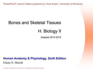 Copyright © 2004 Pearson Education, Inc., publishing as Benjamin Cummings
Human Anatomy & Physiology, Sixth Edition
Elaine N. Marieb
PowerPoint® Lecture Slides prepared by Vince Austin, University of Kentucky
Bones and Skeletal Tissues
H. Biology II
Adapted 2014-2015
 