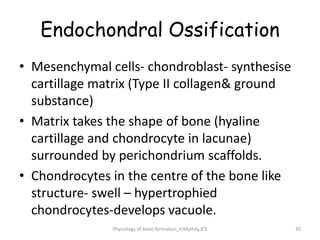 bone formation _Osteogenesis Flowchart.ppt
