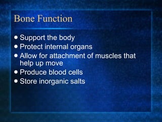 Bone Function Support the body Protect internal organs Allow for attachment of muscles that help up move Produce blood cells Store inorganic salts 