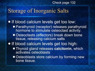 Storage of Inorganic Salts If blood calcium levels get too low: Parathyroid (receptor) releases parathyroid hormone to stimulate osteoclast activity. Osteoclasts (effectors) break down bone tissue, releasing calcium salts If blood calcium levels get too high: Thyroid gland releases  calcitonin , which activates osteoblasts Osteoblasts store calcium by forming new bone tissue. Check page 132 