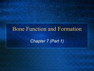 Bone Function and Formation Chapter 7 (Part 1) 