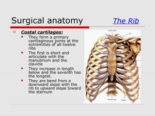 Surgical anatomy The Rib
 Costal cartilages:
 They form a primary
cartilaginous joints at the
extremities of all twelve
ribs
 The first is short and
articulate with the
manubrium and the
clavicle
 They increase in length
below and the seventh has
the longest.
 They are bend from a
downward slope with the
rib to upward slope toward
the sternum
 