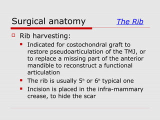 Surgical anatomy The Rib
 Rib harvesting:
 Indicated for costochondral graft to
restore pseudoarticulation of the TMJ, or
to replace a missing part of the anterior
mandible to reconstruct a functional
articulation
 The rib is usually 5th
or 6th
typical one
 Incision is placed in the infra-mammary
crease, to hide the scar
 