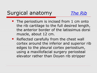 Surgical anatomy The Rib
 The periostium is incised from 1 cm onto
the rib cartilage to the full desired length,
the anterior border of the latissimus dorsi
muscle, about 12 cm.
 Reflected carefully from the chest wall
cortex around the inferior and superior rib
edges to the pleural cortex periostium,
using a maxillofacial surgery periosteal
elevator rather than Doyen rib stripper
 