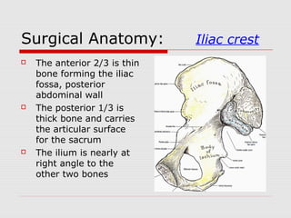 Surgical Anatomy: Iliac crest
 The anterior 2/3 is thin
bone forming the iliac
fossa, posterior
abdominal wall
 The posterior 1/3 is
thick bone and carries
the articular surface
for the sacrum
 The ilium is nearly at
right angle to the
other two bones
 