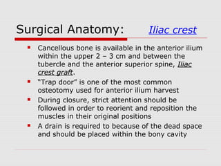 Surgical Anatomy: Iliac crest
 Cancellous bone is available in the anterior ilium
within the upper 2 – 3 cm and between the
tubercle and the anterior superior spine, IliacIliac
crest graftcrest graft.
 “Trap door” is one of the most common
osteotomy used for anterior ilium harvest
 During closure, strict attention should be
followed in order to reorient and reposition the
muscles in their original positions
 A drain is required to because of the dead space
and should be placed within the bony cavity
 