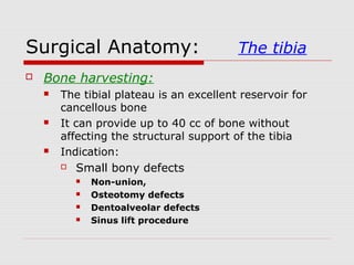 Surgical Anatomy: The tibia
 Bone harvesting:
 The tibial plateau is an excellent reservoir for
cancellous bone
 It can provide up to 40 cc of bone without
affecting the structural support of the tibia
 Indication:
 Small bony defects
 Non-union,
 Osteotomy defects
 Dentoalveolar defects
 Sinus lift procedure
 