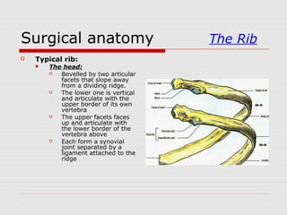 Surgical anatomy The Rib
 Typical rib:
 The head:
 Bevelled by two articular
facets that slope away
from a dividing ridge.
 The lower one is vertical
and articulate with the
upper border of its own
vertebra
 The upper facets faces
up and articulate with
the lower border of the
vertebra above
 Each form a synovial
joint separated by a
ligament attached to the
ridge
 