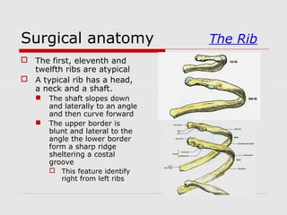 Bone graft | PPT