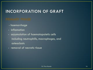 PRIMARY PHASE
- haemorrhage
- inflamation
- accumulation of haematopoietis cells
including neutrophills, macrophages, and
osteoclasts
- removal of necrotic tissue
Dr. Firas Kassab 16
 