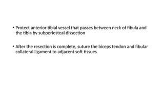 Bone graft Dr bikrant.pptx bone graft substitute | PPTX