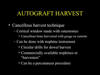 AUTOGRAFT HARVEST
• Cortical
– Fibula common donor
• Avoid distal fibula to protect ankle function
• Preserve head to keep...