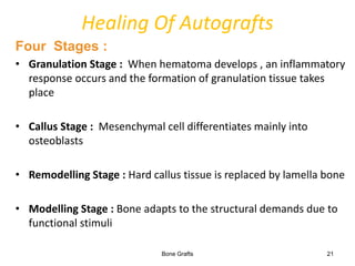 BONE GRAFTS.pptx