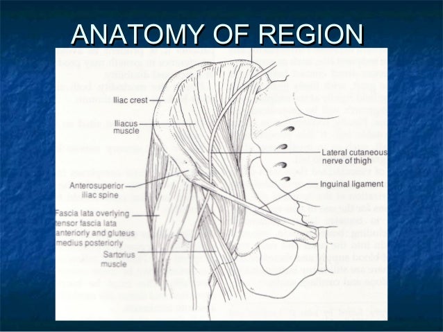 Bone grafts in oral surgery