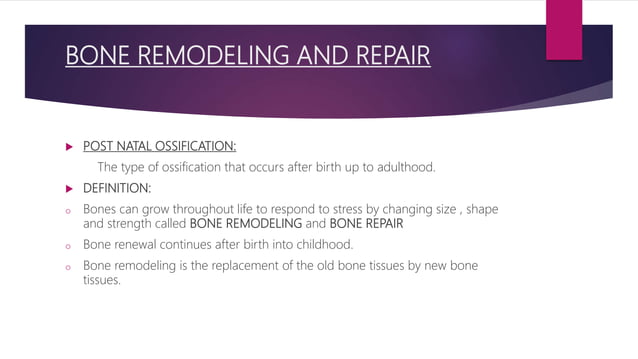 Bone growth & factors affecting bone growth | PPTX | Bone and Joint ...