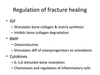 Regulation of fracture healing
• IGF
– Stimulates bone collagen & matrix synthesis
– Inhibits bone collagen degradation
• BMP
– Osteoinductive
– Stimulates diff of osteoprogenitors to osteoblasts
• Cytokines
– IL-1,6 stimulate bone resorption
– Chemotaxis and regulation of inflammatory cells
 