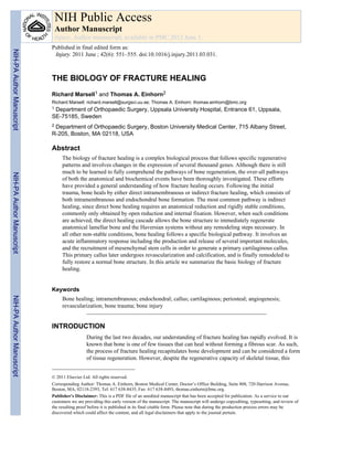 THE BIOLOGY OF FRACTURE HEALING
Richard Marsell1 and Thomas A. Einhorn2
Richard Marsell: richard.marsell@surgsci.uu.se; Thomas A. Einhorn: thomas.einhorn@bmc.org
1 Department of Orthopaedic Surgery, Uppsala University Hospital, Entrance 61, Uppsala,
SE-75185, Sweden
2 Department of Orthopaedic Surgery, Boston University Medical Center, 715 Albany Street,
R-205, Boston, MA 02118, USA
Abstract
The biology of fracture healing is a complex biological process that follows specific regenerative
patterns and involves changes in the expression of several thousand genes. Although there is still
much to be learned to fully comprehend the pathways of bone regeneration, the over-all pathways
of both the anatomical and biochemical events have been thoroughly investigated. These efforts
have provided a general understanding of how fracture healing occurs. Following the initial
trauma, bone heals by either direct intramembranous or indirect fracture healing, which consists of
both intramembranous and endochondral bone formation. The most common pathway is indirect
healing, since direct bone healing requires an anatomical reduction and rigidly stable conditions,
commonly only obtained by open reduction and internal fixation. However, when such conditions
are achieved, the direct healing cascade allows the bone structure to immediately regenerate
anatomical lamellar bone and the Haversian systems without any remodeling steps necessary. In
all other non-stable conditions, bone healing follows a specific biological pathway. It involves an
acute inflammatory response including the production and release of several important molecules,
and the recruitment of mesenchymal stem cells in order to generate a primary cartilaginous callus.
This primary callus later undergoes revascularization and calcification, and is finally remodeled to
fully restore a normal bone structure. In this article we summarize the basic biology of fracture
healing.
Keywords
Bone healing; intramembranous; endochondral; callus; cartilaginous; periosteal; angiogenesis;
revascularization; bone trauma; bone injury
INTRODUCTION
During the last two decades, our understanding of fracture healing has rapidly evolved. It is
known that bone is one of few tissues that can heal without forming a fibrous scar. As such,
the process of fracture healing recapitulates bone development and can be considered a form
of tissue regeneration. However, despite the regenerative capacity of skeletal tissue, this
© 2011 Elsevier Ltd. All rights reserved.
Corresponding Author: Thomas A. Einhorn, Boston Medical Center, Doctor’s Office Building, Suite 808, 720 Harrison Avenue,
Boston, MA, 02118-2393, Tel: 617 638-8435, Fax: 617 638-8493, thomas.einhorn@bmc.org.
Publisher's Disclaimer: This is a PDF file of an unedited manuscript that has been accepted for publication. As a service to our
customers we are providing this early version of the manuscript. The manuscript will undergo copyediting, typesetting, and review of
the resulting proof before it is published in its final citable form. Please note that during the production process errors may be
discovered which could affect the content, and all legal disclaimers that apply to the journal pertain.
NIH Public Access
Author Manuscript
Injury. Author manuscript; available in PMC 2012 June 1.
Published in final edited form as:
Injury. 2011 June ; 42(6): 551–555. doi:10.1016/j.injury.2011.03.031.
NIH-PAAuthorManuscriptNIH-PAAuthorManuscriptNIH-PAAuthorManuscript
 
