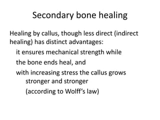 Secondary bone healing
Healing by callus, though less direct (indirect
healing) has distinct advantages:
it ensures mechanical strength while
the bone ends heal, and
with increasing stress the callus grows
stronger and stronger
(according to Wolff’s law)
 