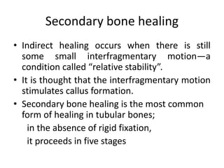 Secondary bone healing
• Indirect healing occurs when there is still
some small interfragmentary motion—a
condition called “relative stability”.
• It is thought that the interfragmentary motion
stimulates callus formation.
• Secondary bone healing is the most common
form of healing in tubular bones;
in the absence of rigid fixation,
it proceeds in five stages
 