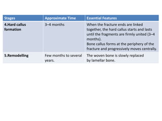 Stages Approximate Time Essential Features
4.Hard callus
formation
3–4 months When the fracture ends are linked
together, the hard callus starts and lasts
until the fragments are firmly united (3–4
months).
Bone callus forms at the periphery of the
fracture and progressively moves centrally.
5.Remodelling Few months to several
years.
The woven bone is slowly replaced
by lamellar bone.
 