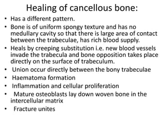 Healing of cancellous bone:
• Has a different pattern.
• Bone is of uniform spongy texture and has no
medullary cavity so that there is large area of contact
between the trabeculae, has rich blood supply.
• Heals by creeping substitution i.e. new blood vessels
invade the trabecula and bone opposition takes place
directly on the surface of trabeculum.
• Union occur directly between the bony trabeculae
• Haematoma formation
• Inflammation and cellular proliferation
• Mature osteoblasts lay down woven bone in the
intercellular matrix
• Fracture unites
 