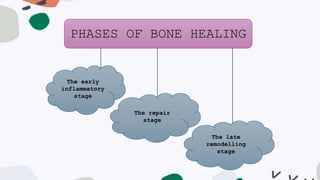 PHASES OF BONE HEALING
The early
inflammatory
stage
The repair
stage
The late
remodelling
stage
 