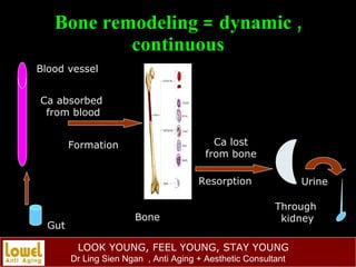 Bone remodeling = dynamic , continuous Bone  Resorption  Formation  Ca lost from bone  Through  kidney Ca absorbed from bl...
