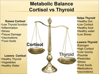 Cortisol
Thyroid
Raises Cortisol
•Low Thyroid function
•Inflammation
•Stress
•Tissue Damage
•Vaccinations
•Toxic foods Lowers Thyroid
•Estrogen
•High Cortisol
•Liver toxicity
•Fluoride
•Pesticides
•Stress
•Toxic foods
•Medications
•vaccinations
Lowers Cortisol
•Healthy Thyroid
•Vegetables
•Healthy Water
Helps Thyroid
•Healthy Gut
•Low Cortisol
•Healthy food
•Healthy water
•Low Stress
Metabolic Balance
Cortisol vs Thyroid
 