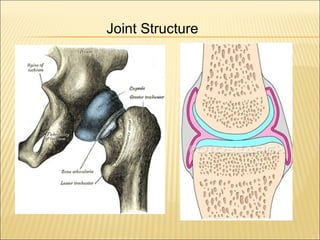 Joint Structure
 