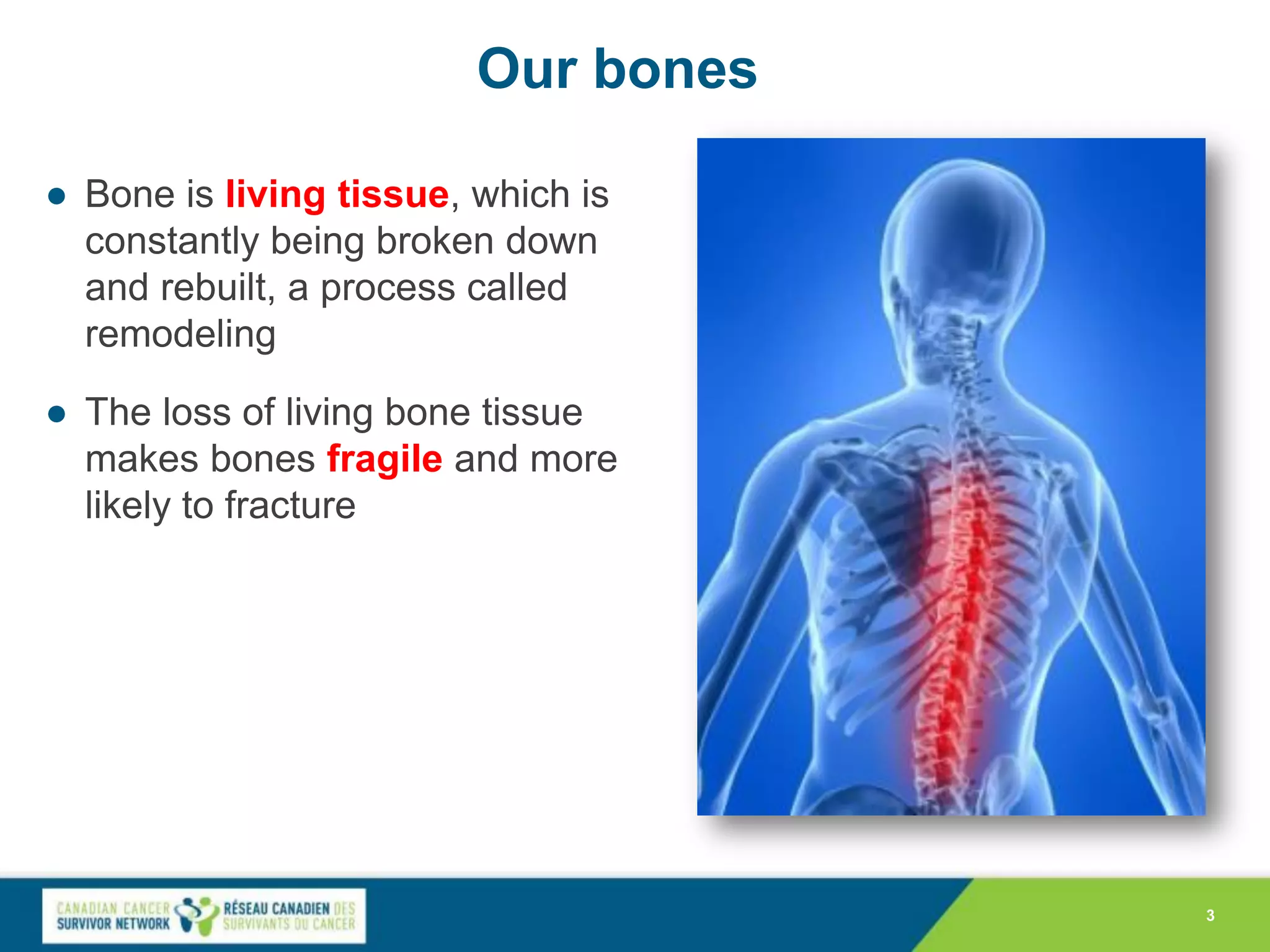 Bone Health in Cancer Dr. Sandy Sehdev PPT