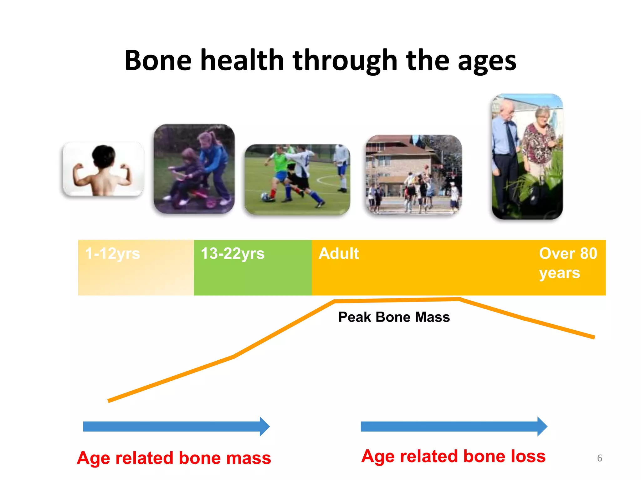Bone Health Through the Ages | PPTX