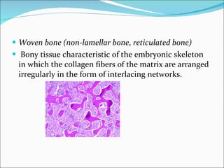 Bone Histology | PPT