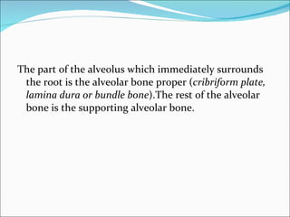 Bone Histology | PPT