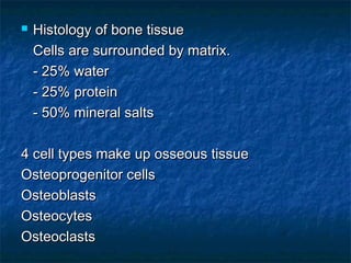  Histology of bone tissueHistology of bone tissue
Cells are surrounded by matrix.Cells are surrounded by matrix.
- 25% water- 25% water
- 25% protein- 25% protein
- 50% mineral salts- 50% mineral salts
4 cell types make up osseous tissue4 cell types make up osseous tissue
Osteoprogenitor cellsOsteoprogenitor cells
OsteoblastsOsteoblasts
OsteocytesOsteocytes
OsteoclastsOsteoclasts
 