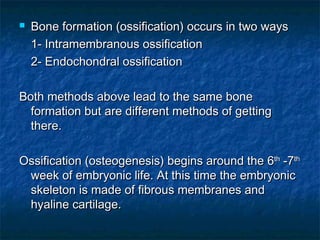  Bone formation (ossification) occurs in two waysBone formation (ossification) occurs in two ways
1- Intramembranous ossification1- Intramembranous ossification
2- Endochondral ossification2- Endochondral ossification
Both methods above lead to the same boneBoth methods above lead to the same bone
formation but are different methods of gettingformation but are different methods of getting
there.there.
Ossification (osteogenesis) begins around the 6Ossification (osteogenesis) begins around the 6thth
-7-7thth
week of embryonic life. At this time the embryonicweek of embryonic life. At this time the embryonic
skeleton is made of fibrous membranes andskeleton is made of fibrous membranes and
hyaline cartilage.hyaline cartilage.
 