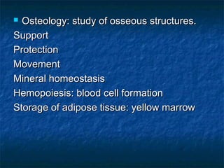  Osteology: study of osseous structures.Osteology: study of osseous structures.
SupportSupport
ProtectionProtection
MovementMovement
Mineral homeostasisMineral homeostasis
Hemopoiesis: blood cell formationHemopoiesis: blood cell formation
Storage of adipose tissue: yellow marrowStorage of adipose tissue: yellow marrow
 
