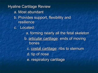 Hyaline Cartilage ReviewHyaline Cartilage Review
a. Most abundanta. Most abundant
b. Provides support, flexibility andb. Provides support, flexibility and
resilienceresilience
c.   Located:c.   Located:
a. forming nearly all the fetal skeletona. forming nearly all the fetal skeleton
b.b. articular cartilagearticular cartilage: ends of moving: ends of moving
bonesbones
c.c. costal cartilagecostal cartilage: ribs to sternum: ribs to sternum
d. tip of nosed. tip of nose
e. respiratory cartilagee. respiratory cartilage
 
