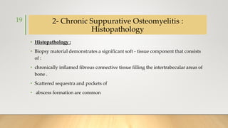 2- Chronic Suppurative Osteomyelitis :
Histopathology
• Histopathology :
• Biopsy material demonstrates a significant soft - tissue component that consists
of :
• chronically inflamed fibrous connective tissue filling the intertrabecular areas of
bone .
• Scattered sequestra and pockets of
• abscess formation are common
19
 