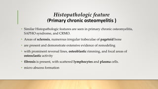 Histopathologic feature
(Primary chronic osteomyelitis )
• Similar Histopathologic features are seen in primary chronic osteomyelitis,
SAPHO syndrome, and CRMO.
• Areas of sclerosis, numerous irregular trabeculae of pagetoid bone
• are present and demonstrate extensive evidence of remodeling
• with prominent reversal lines, osteoblastic rimming, and focal areas of
osteoclastic activity
• fibrosis is present, with scattered lymphocytes and plasma cells.
• micro abscess formation
 